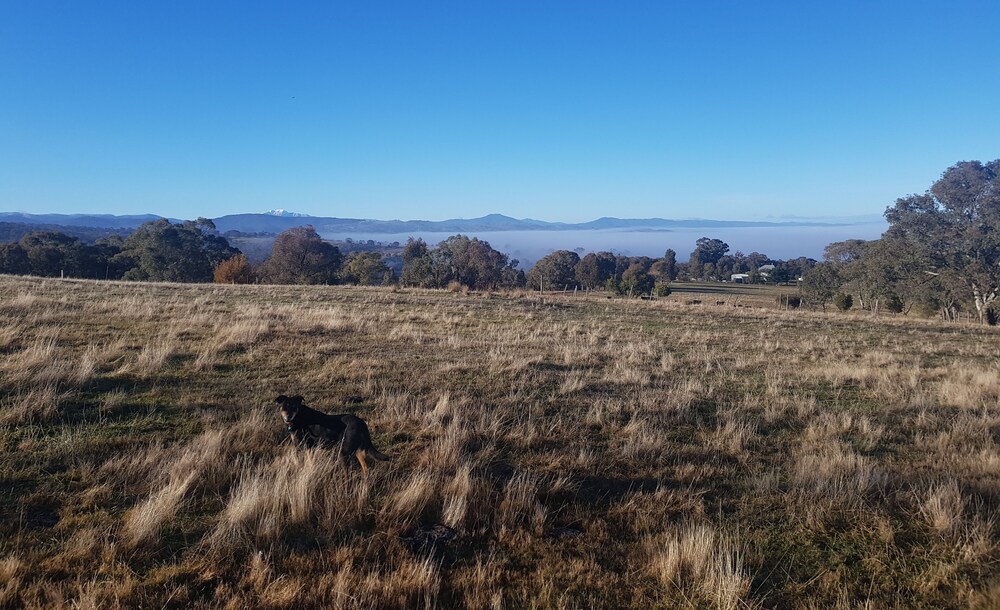 Monbollok Rustic Cabin is a Place to Relax and Take a Breath