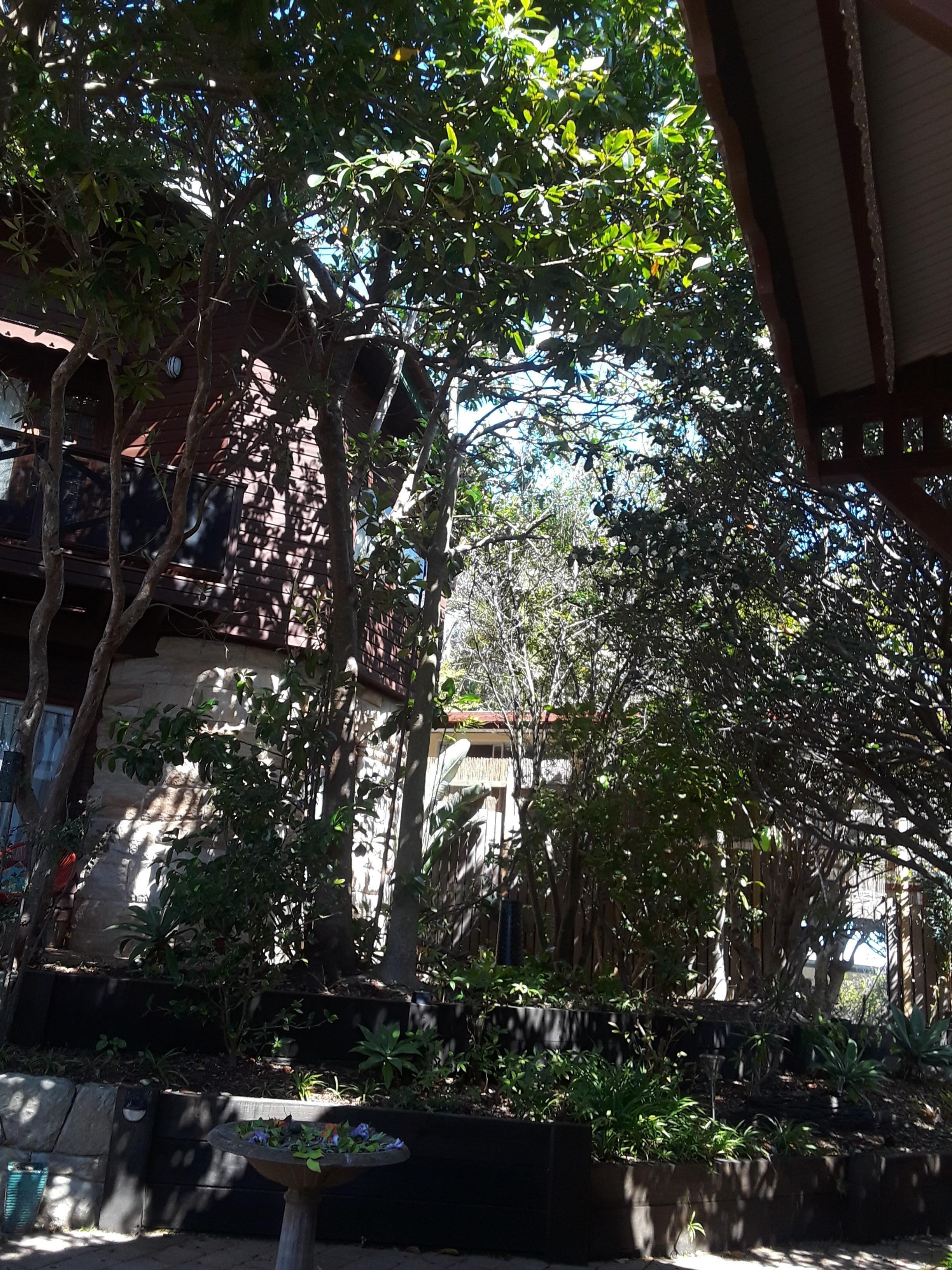 Elegantly-crafted, Beachside Lodge in Valla Beach! Off-peak specials!