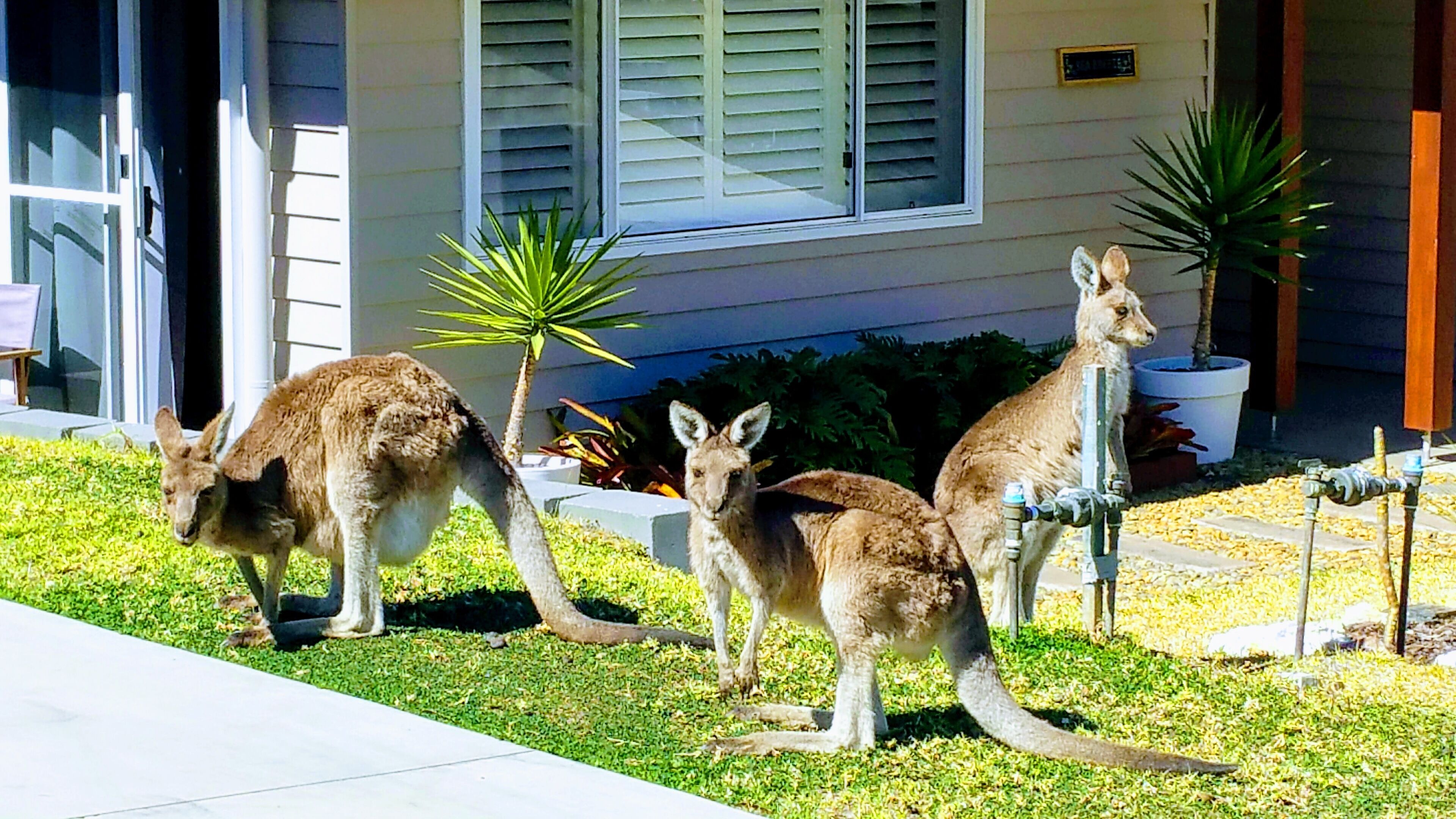 Sea Breeze Safety Beach B&B