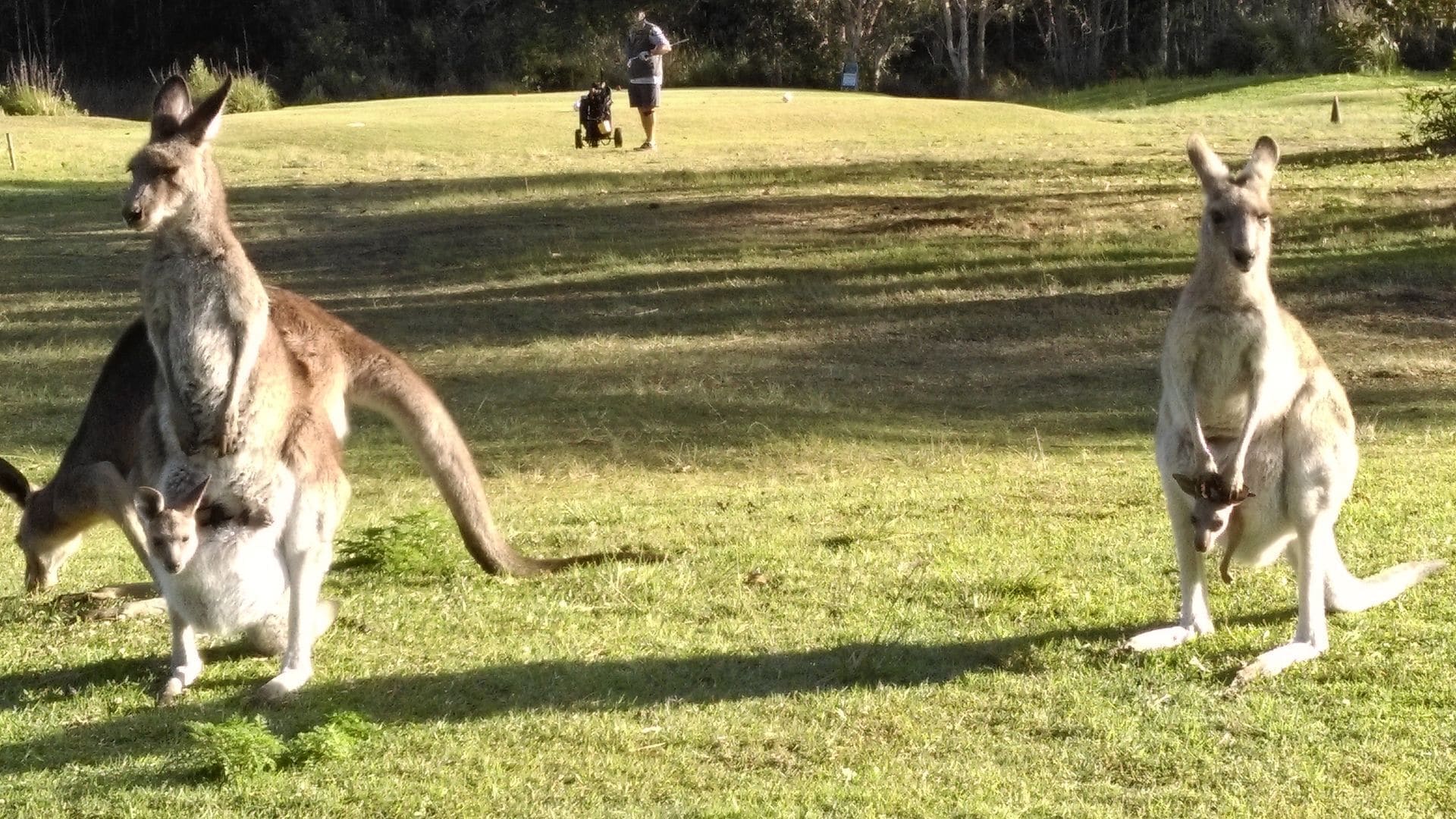 Sea Breeze Safety Beach B&B