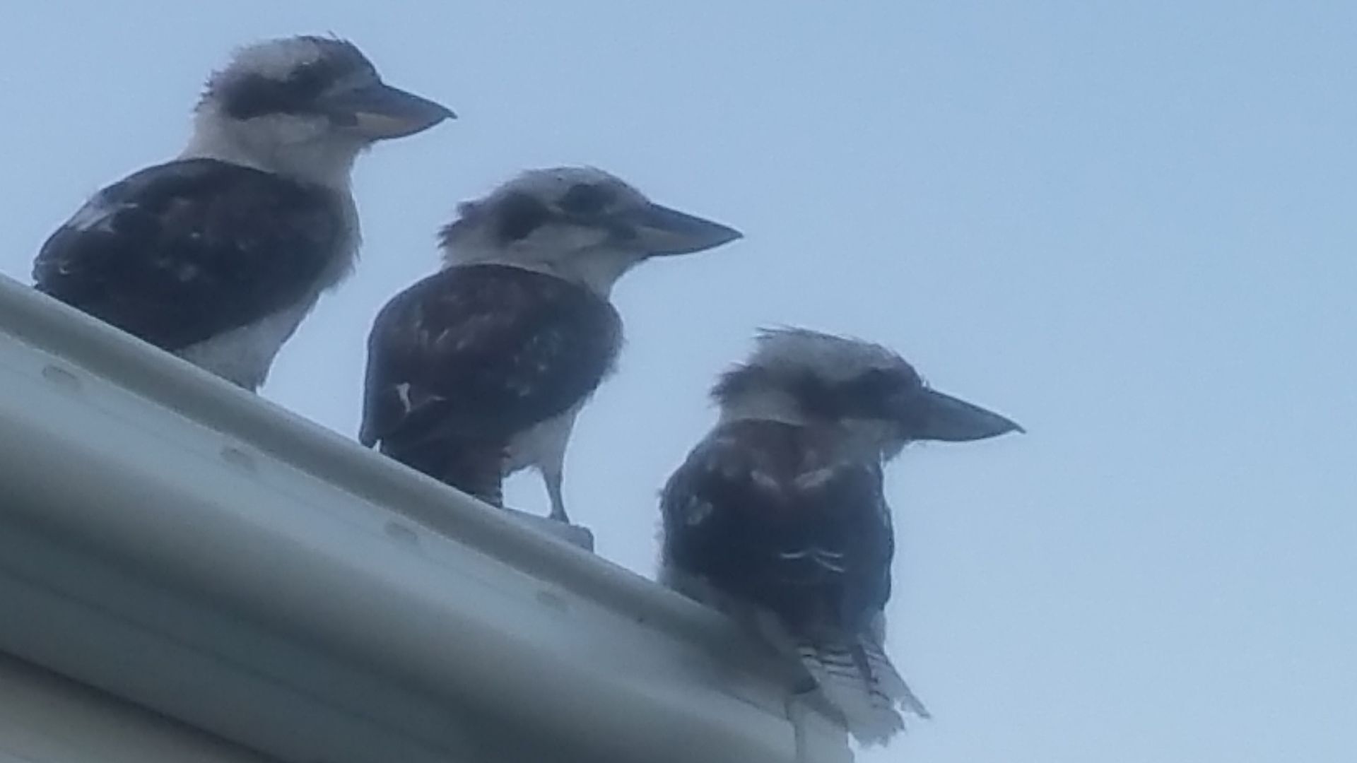 Sea Breeze Safety Beach B&B