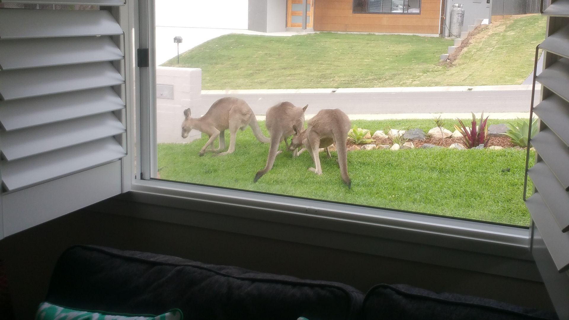 Sea Breeze Safety Beach B&B