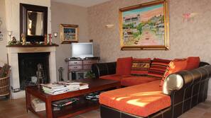 TV, fireplace, DVD player, books