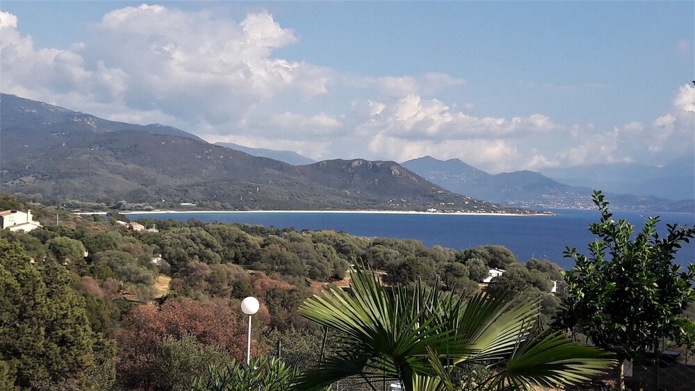 Dream Stay Located In Porto Pollo In The Bay Of Valinco 350
