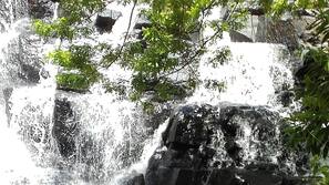 Área do estabelecimento