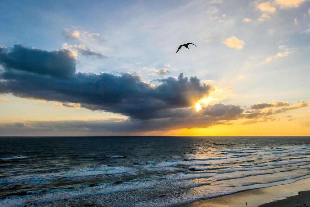 Condo w/ furnished balcony, shared pool, hot tub, game room, gym, & beach access