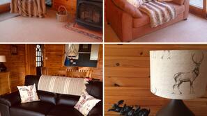 TV, fireplace, DVD player, books