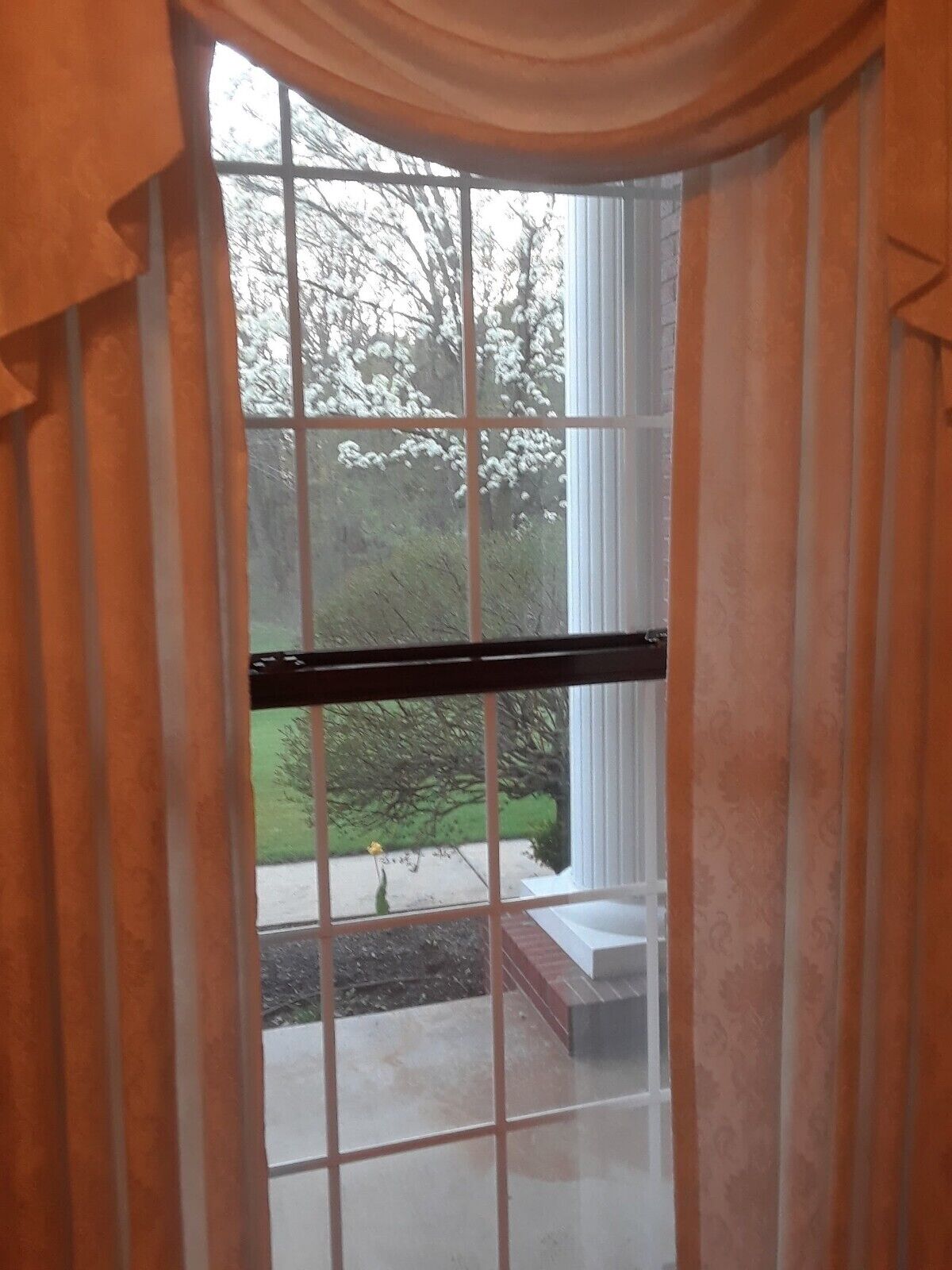 エルミタージュヒルズエステート 30名以上で宿泊可能結婚式 レセプション キャンプ場 口コミ 部屋写真 料金 お得情報 エクスペディア