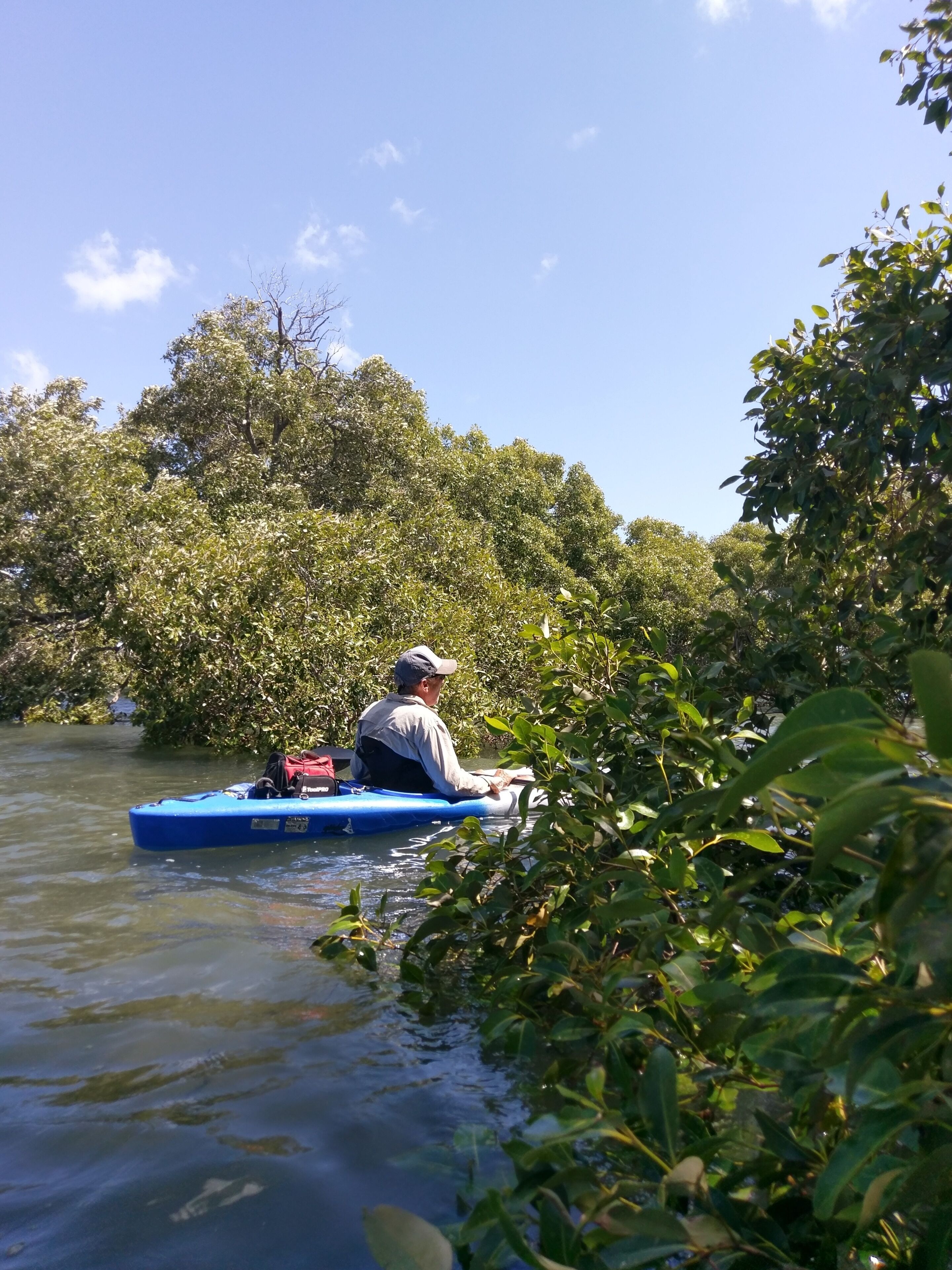 Dolphins, dugongs, migratory birds, fishing, kayaking, beach 300 mtr - Toorbul