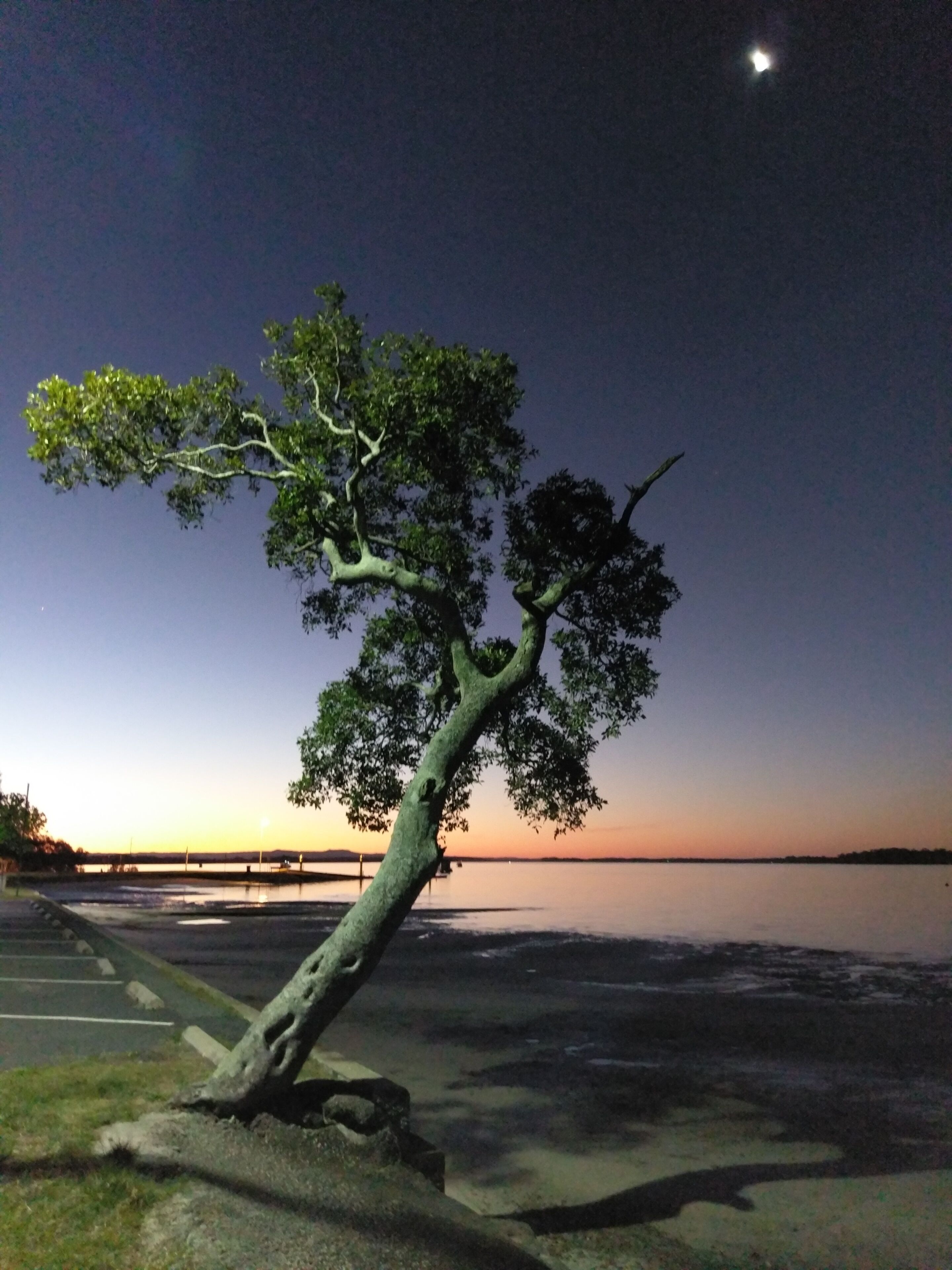 Dolphins, dugongs, migratory birds, fishing, kayaking, beach 300 mtr - Toorbul