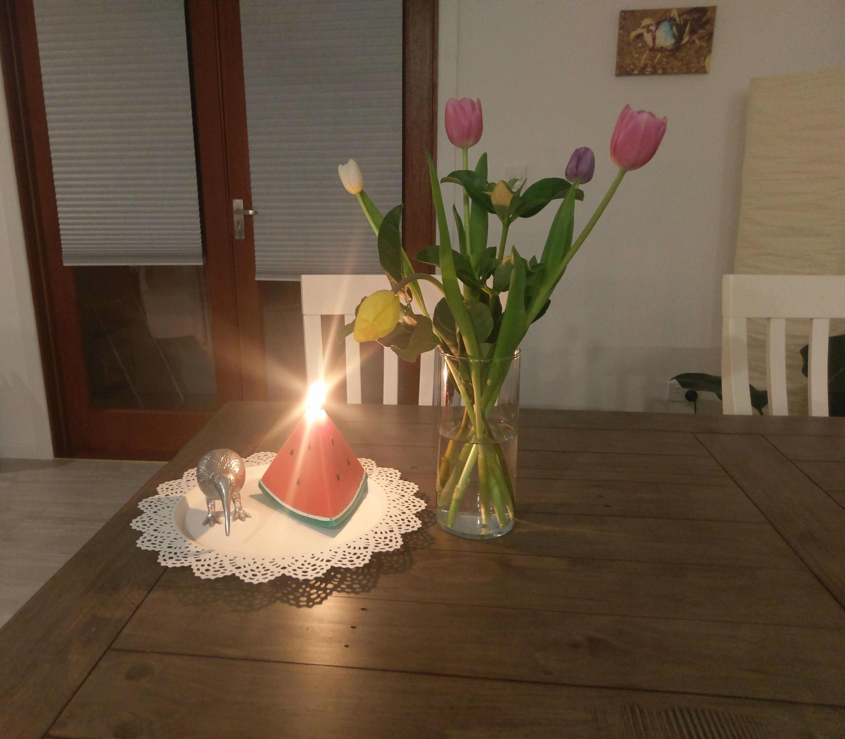 Dolphins, dugongs, migratory birds, fishing, kayaking, beach 300 mtr - Toorbul