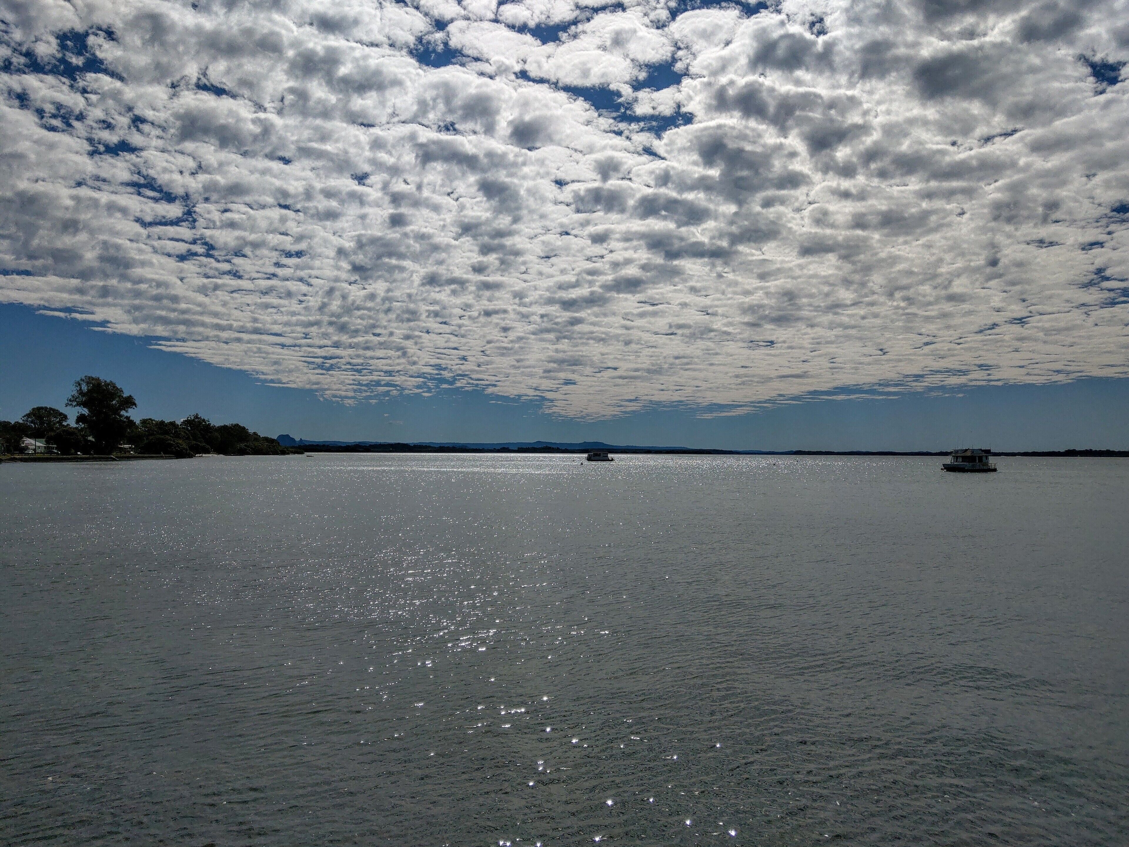 Dolphins, dugongs, migratory birds, fishing, kayaking, beach 300 mtr - Toorbul