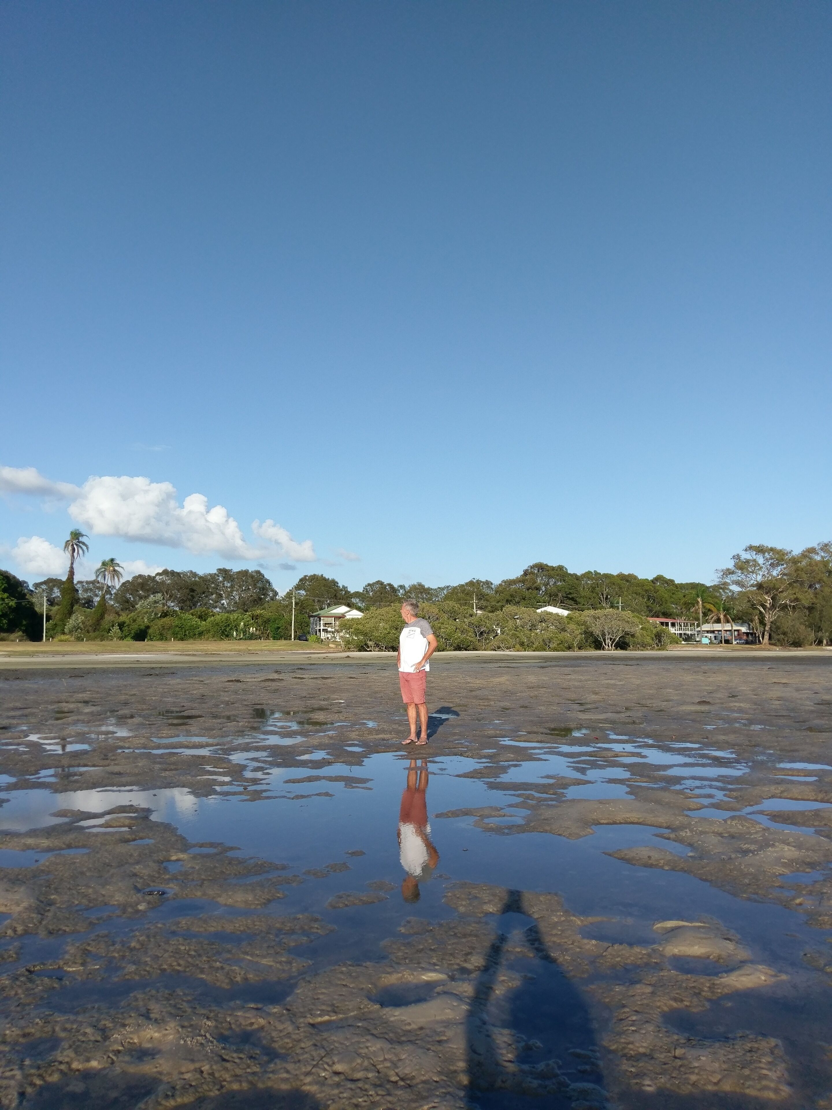 Dolphins, dugongs, migratory birds, fishing, kayaking, beach 300 mtr - Toorbul