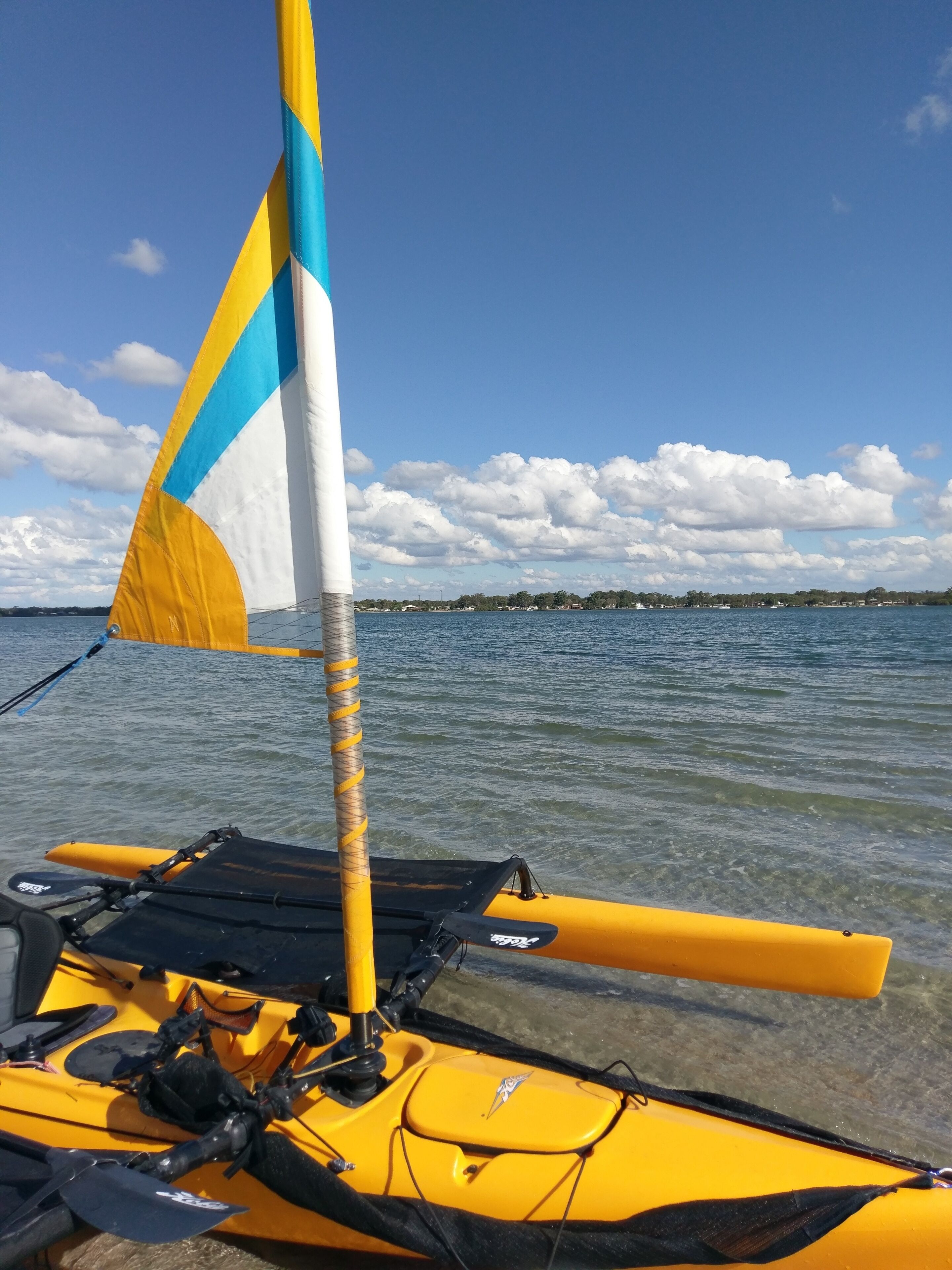 Dolphins, dugongs, migratory birds, fishing, kayaking, beach 300 mtr - Toorbul