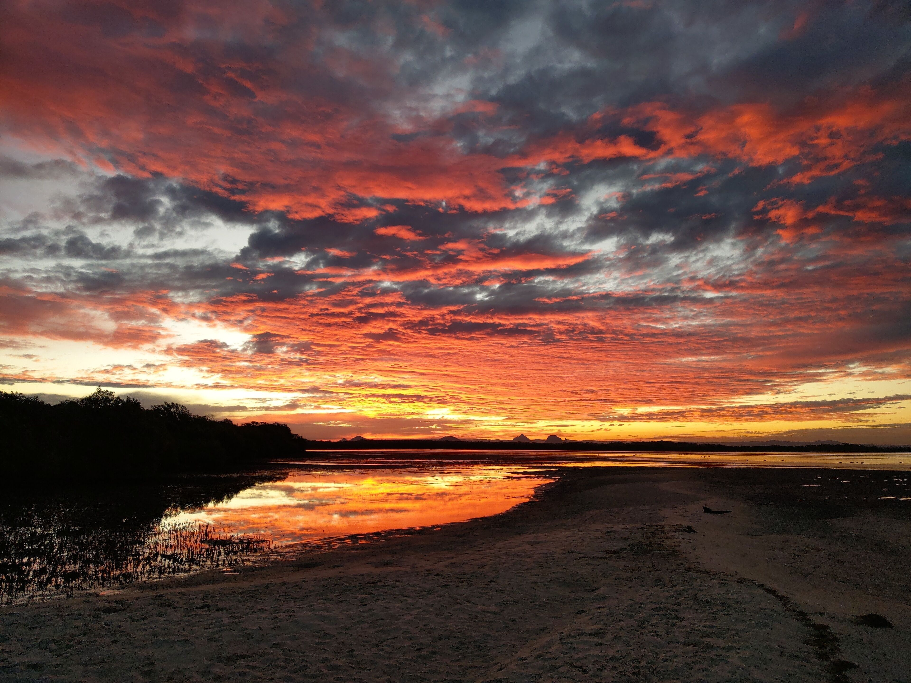 Dolphins, dugongs, migratory birds, fishing, kayaking, beach 300 mtr - Toorbul