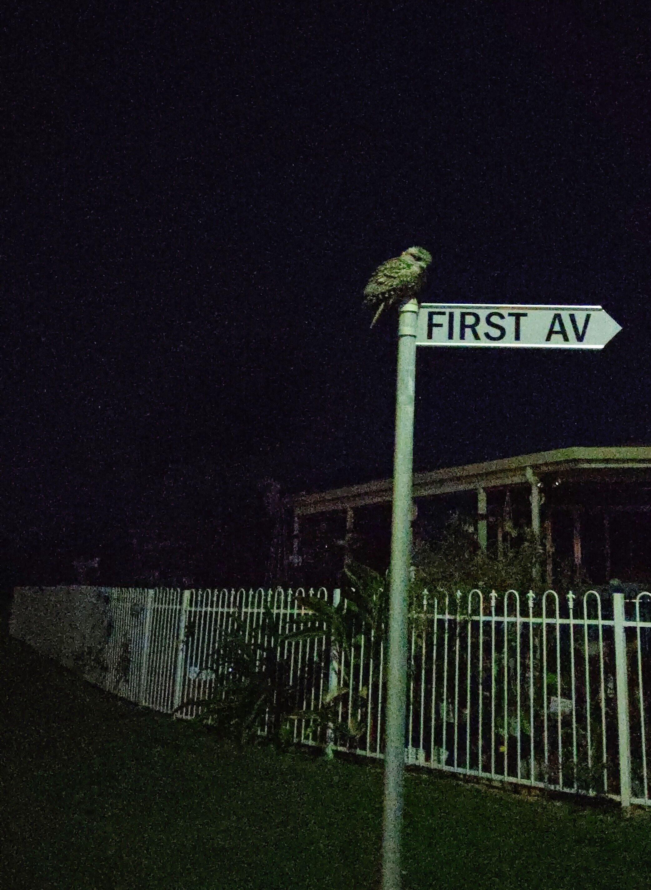 Dolphins, dugongs, migratory birds, fishing, kayaking, beach 300 mtr - Toorbul