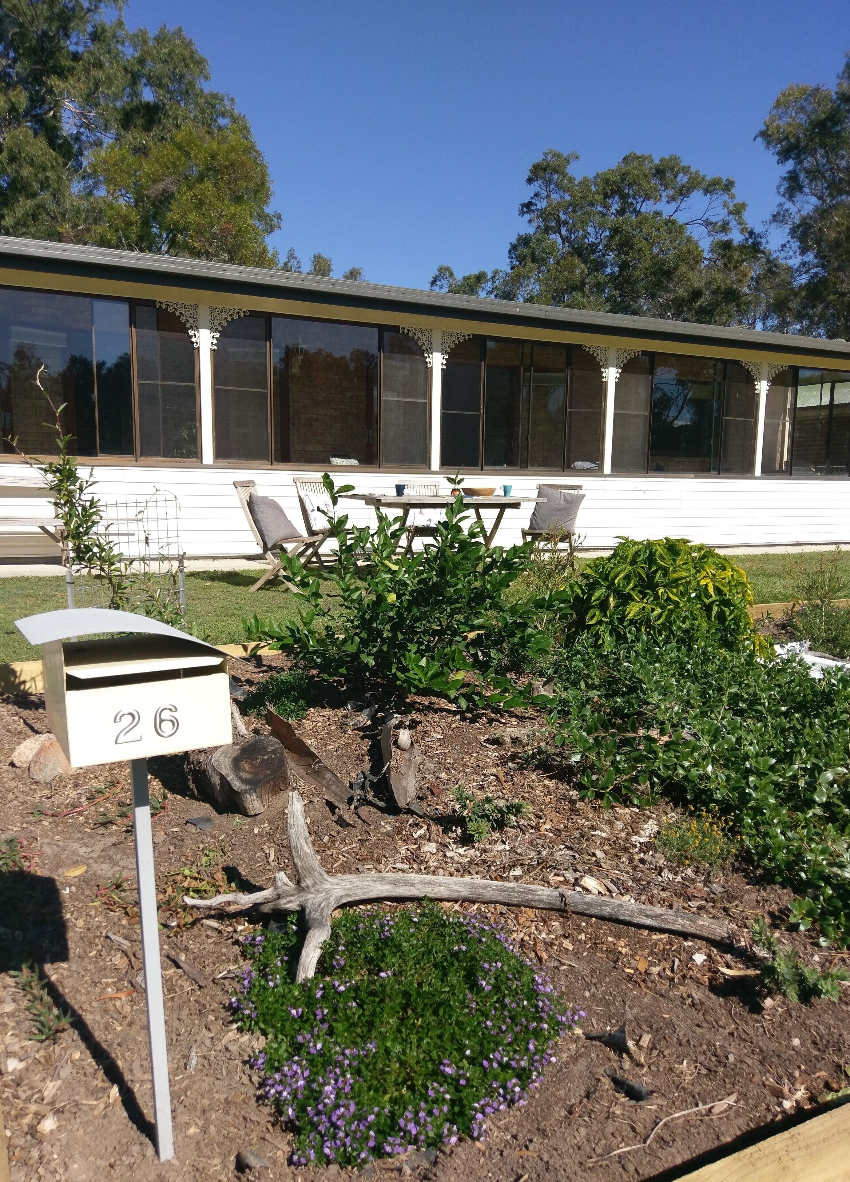 Dolphins, dugongs, migratory birds, fishing, kayaking, beach 300 mtr - Toorbul