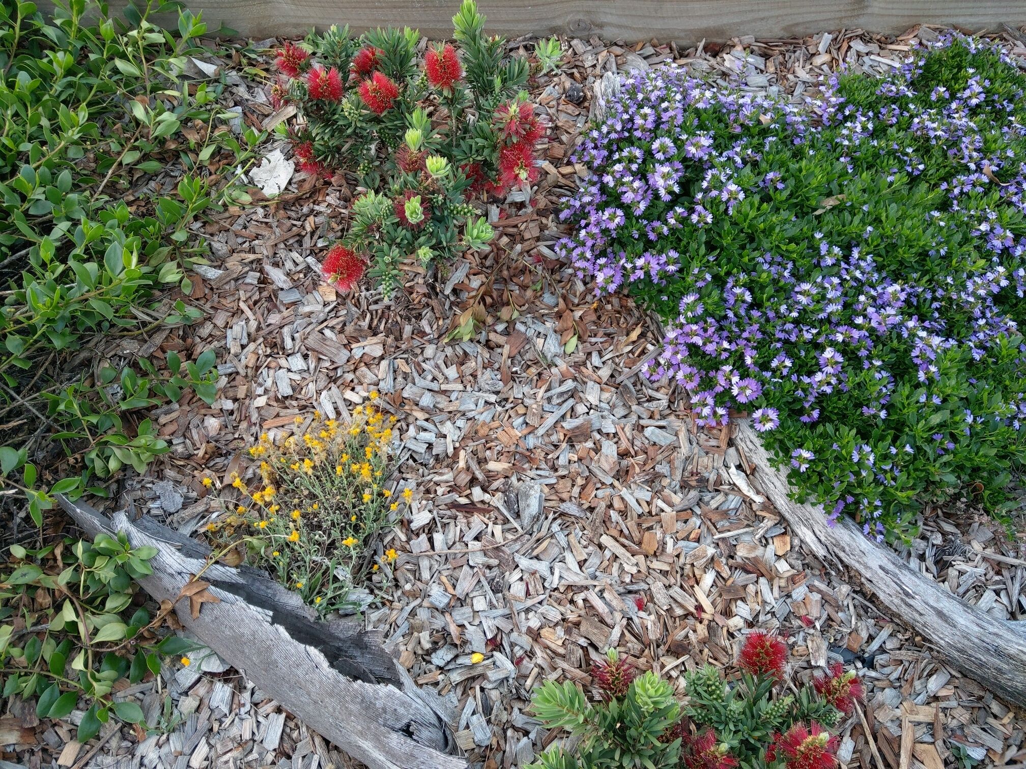 Dolphins, dugongs, migratory birds, fishing, kayaking, beach 300 mtr - Toorbul