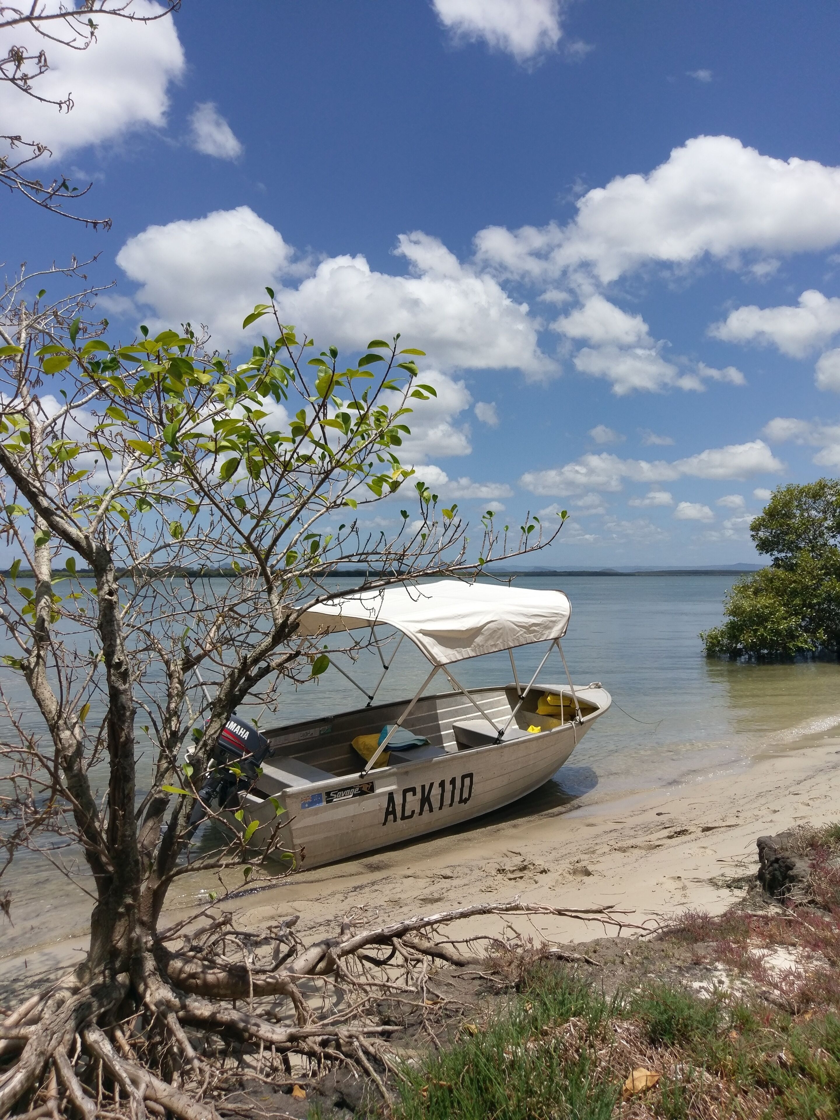 Dolphins, dugongs, migratory birds, fishing, kayaking, beach 300 mtr - Toorbul