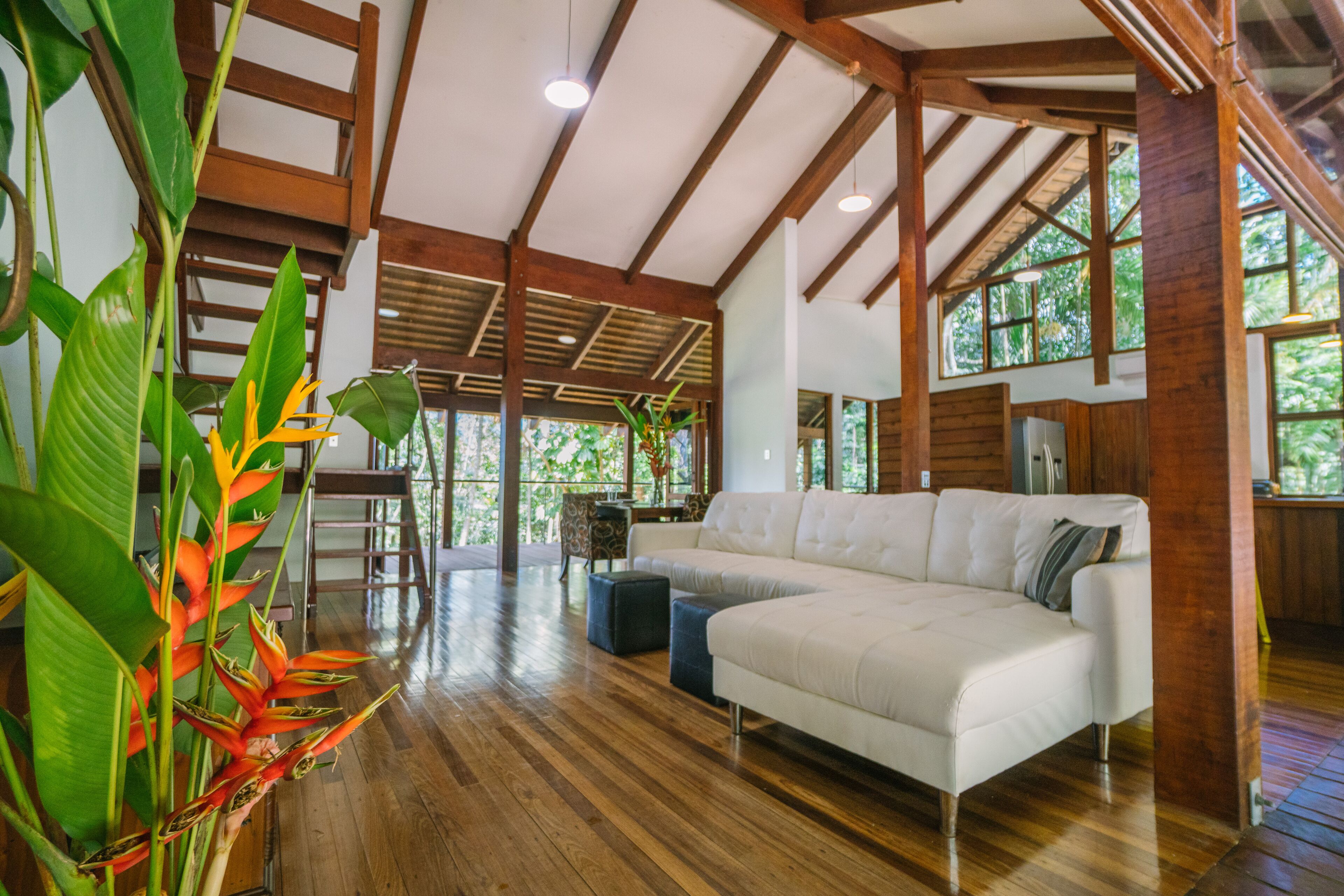 Pristine Rainforest Retreat
