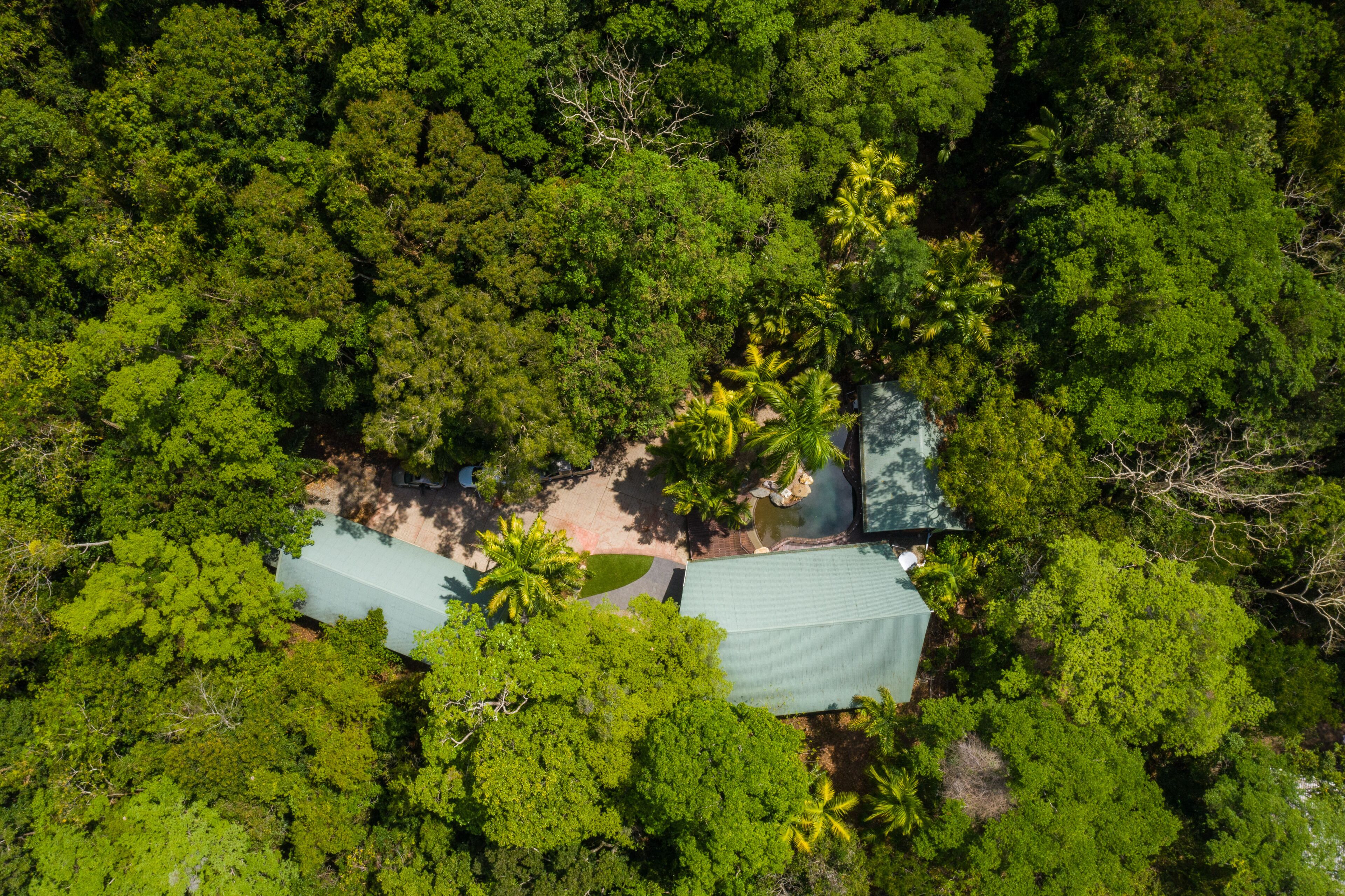 Pristine Rainforest Retreat