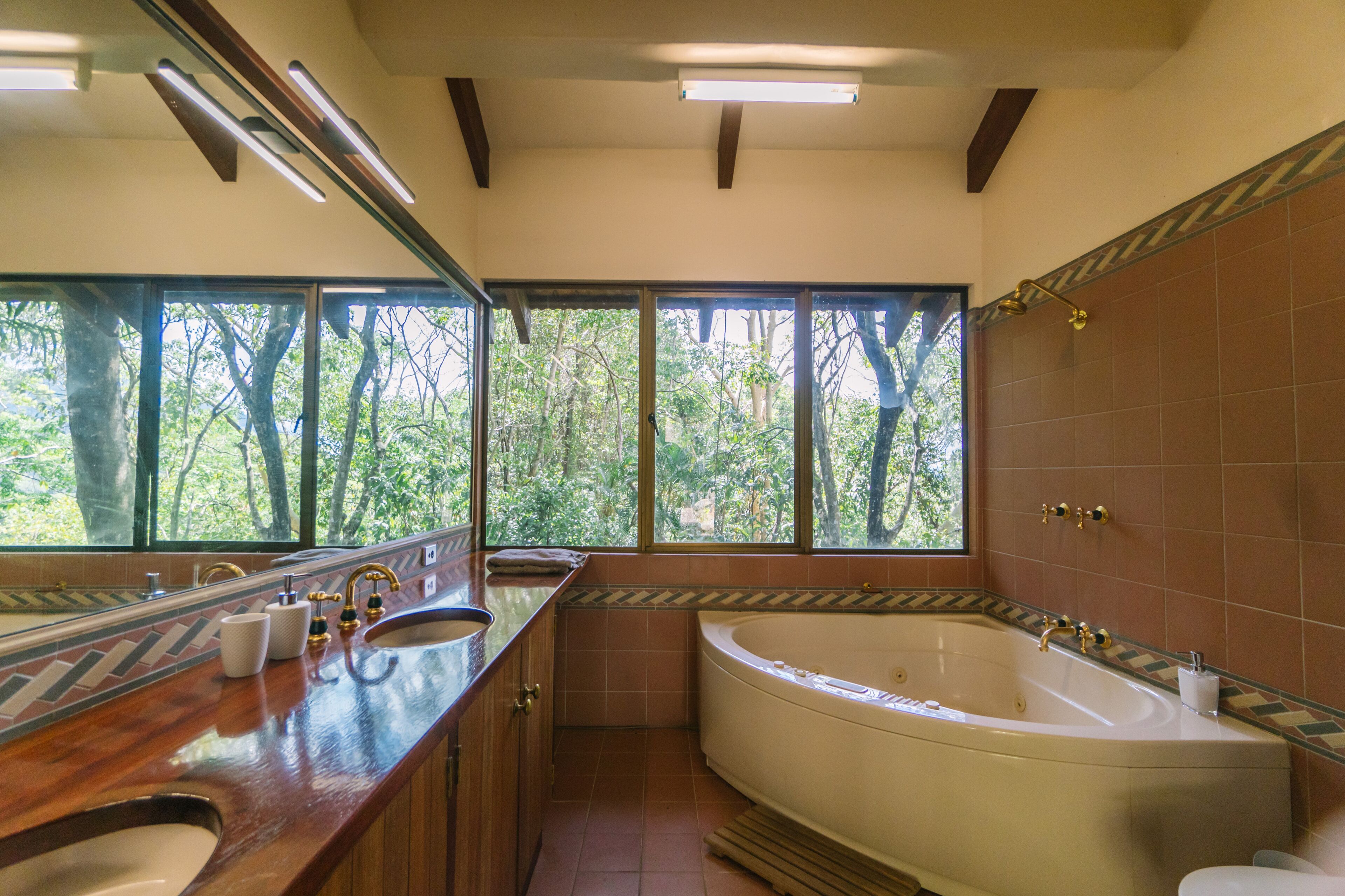 Pristine Rainforest Retreat