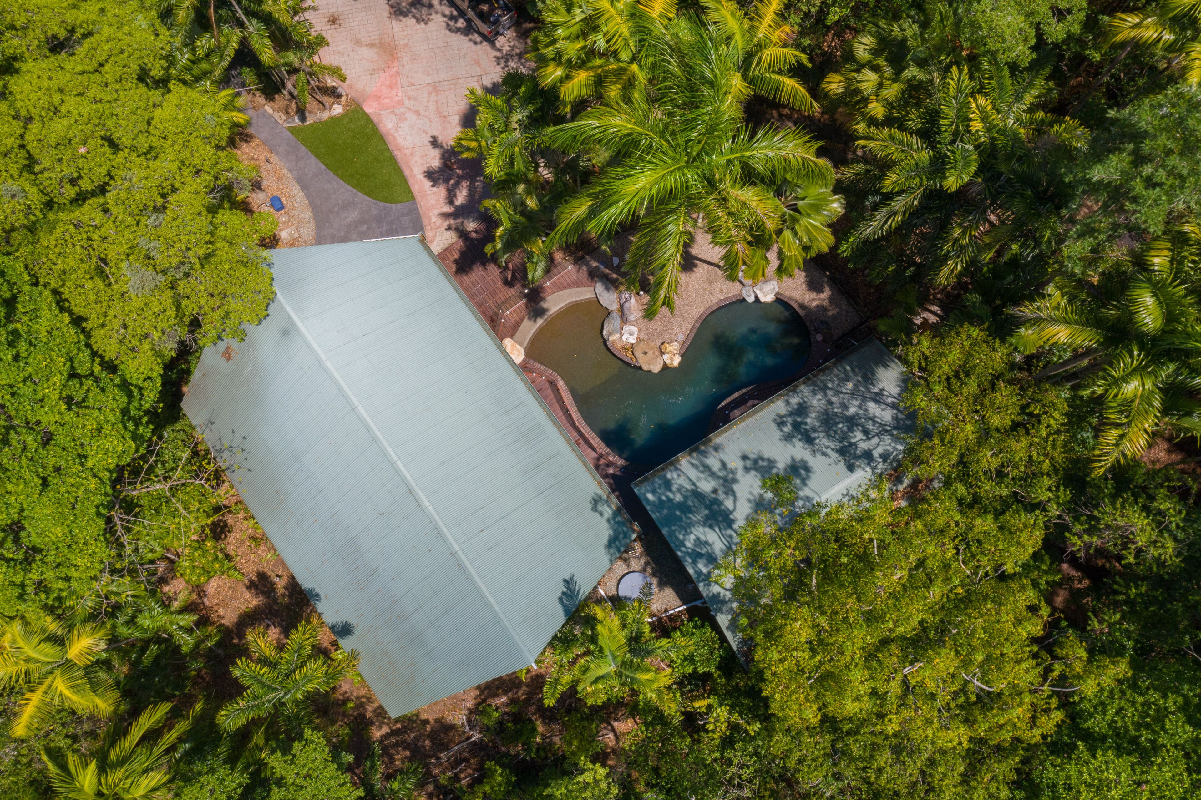 Pristine Rainforest Retreat