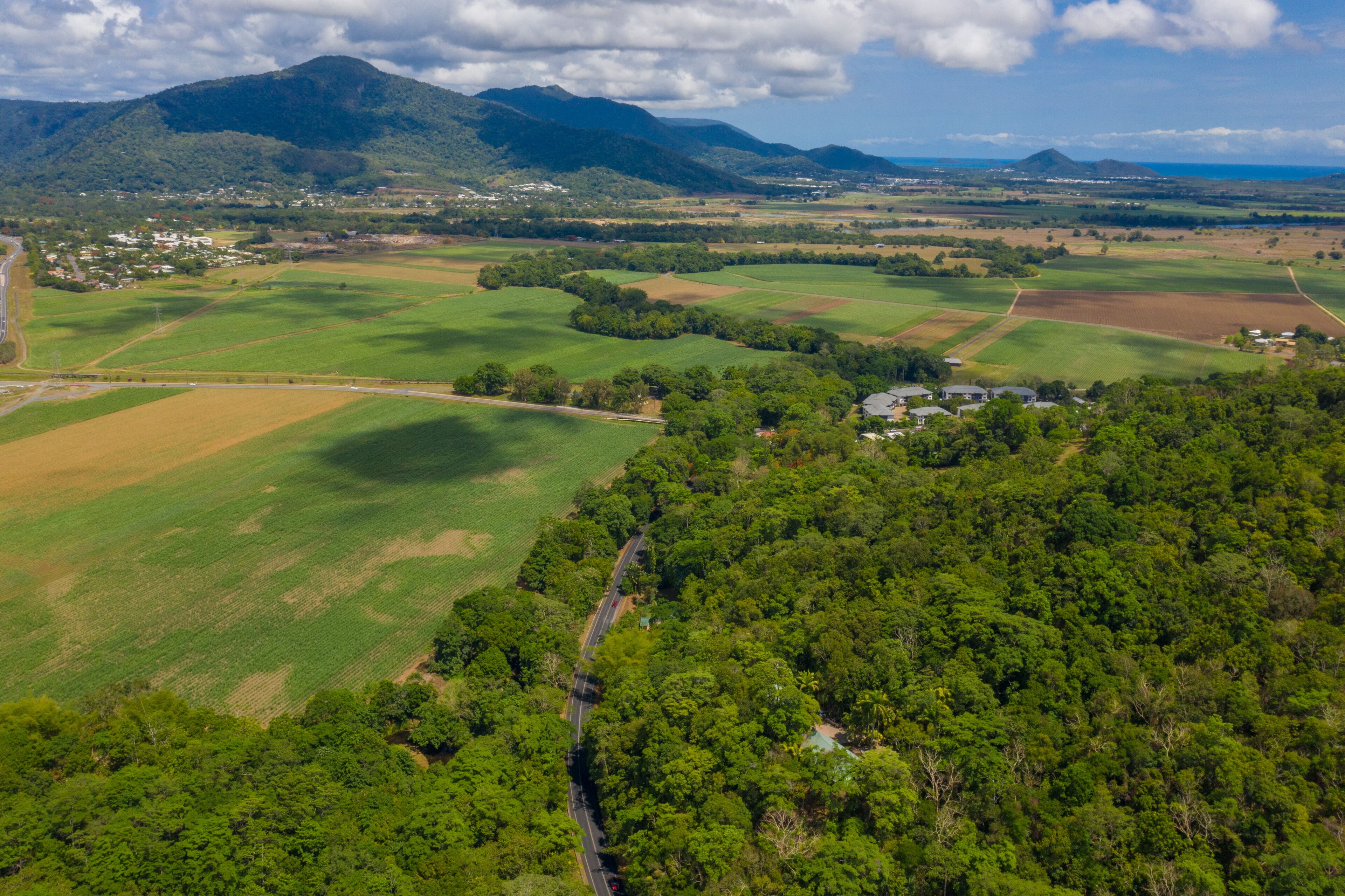 Pristine Rainforest Retreat