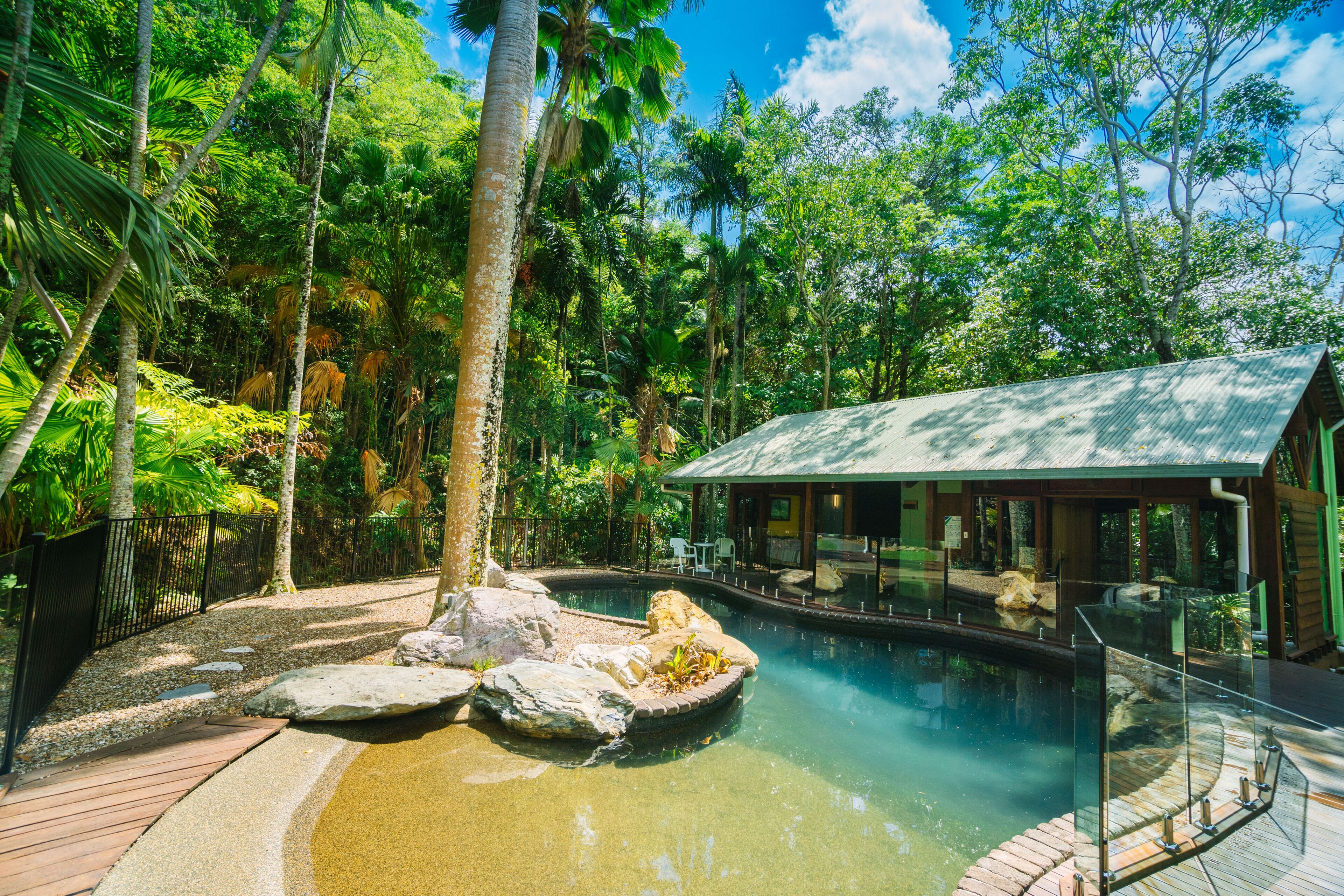 Pristine Rainforest Retreat