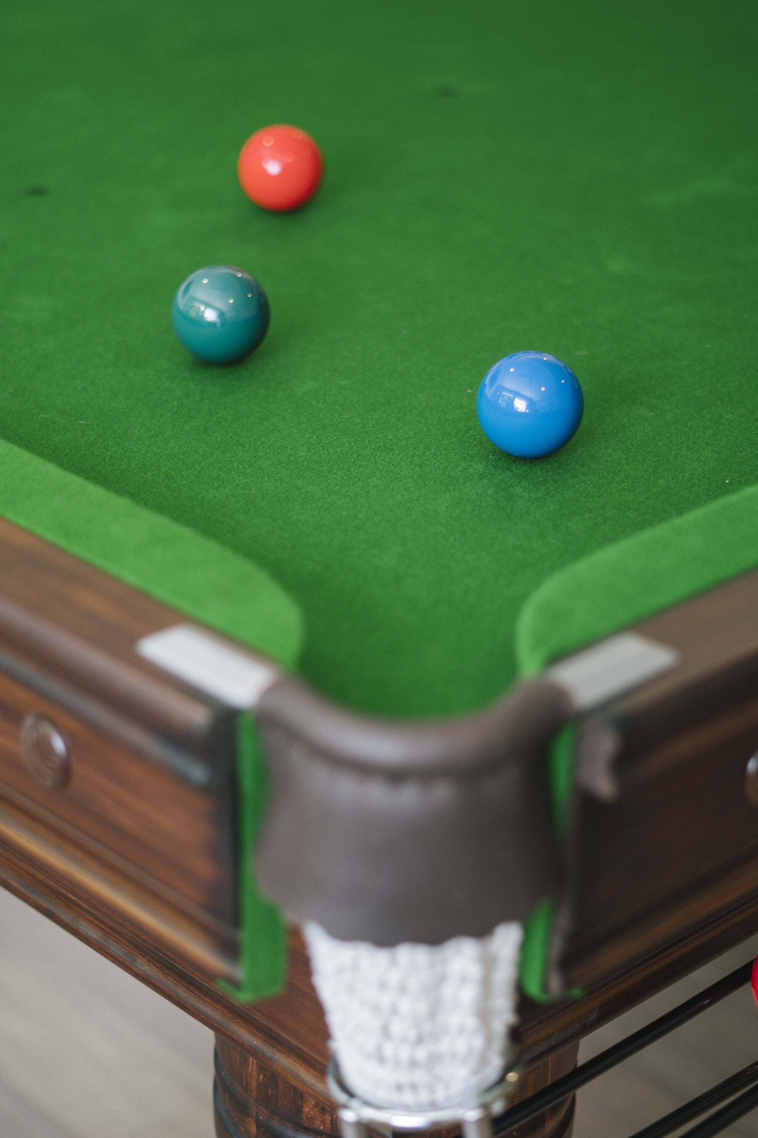 Golden Sunbird BnB - 2 Bedroom Apartment in Unique Rainforest Setting