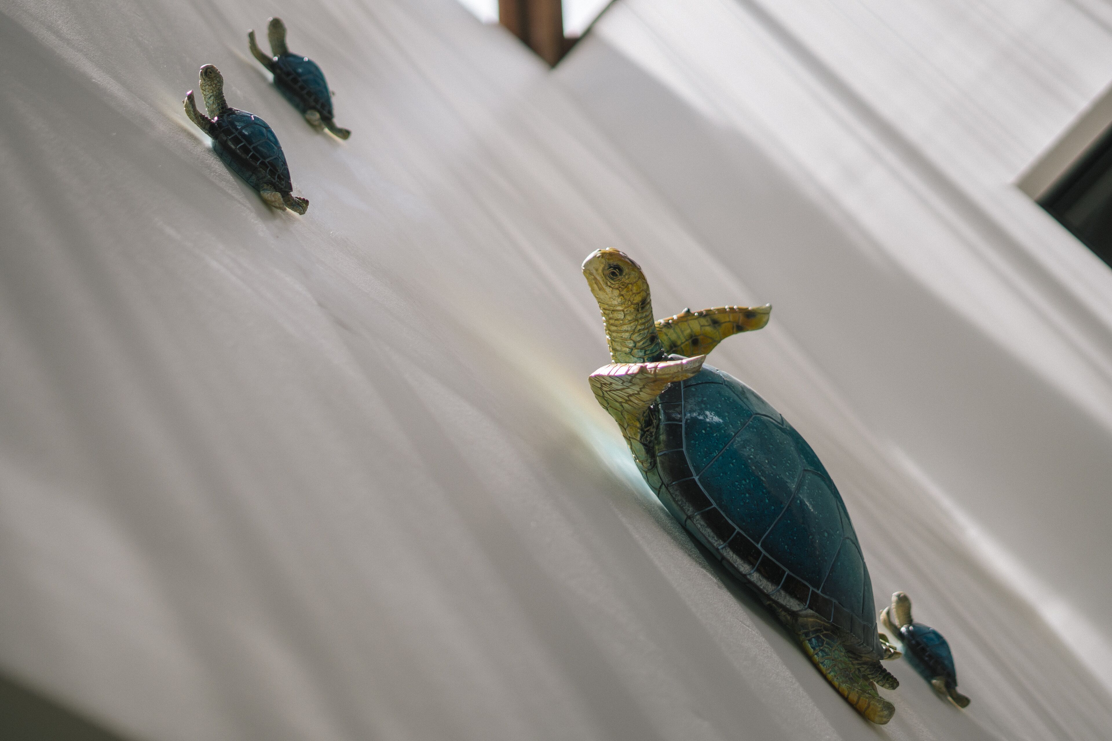 Golden Sunbird BnB - 2 Bedroom Apartment in Unique Rainforest Setting