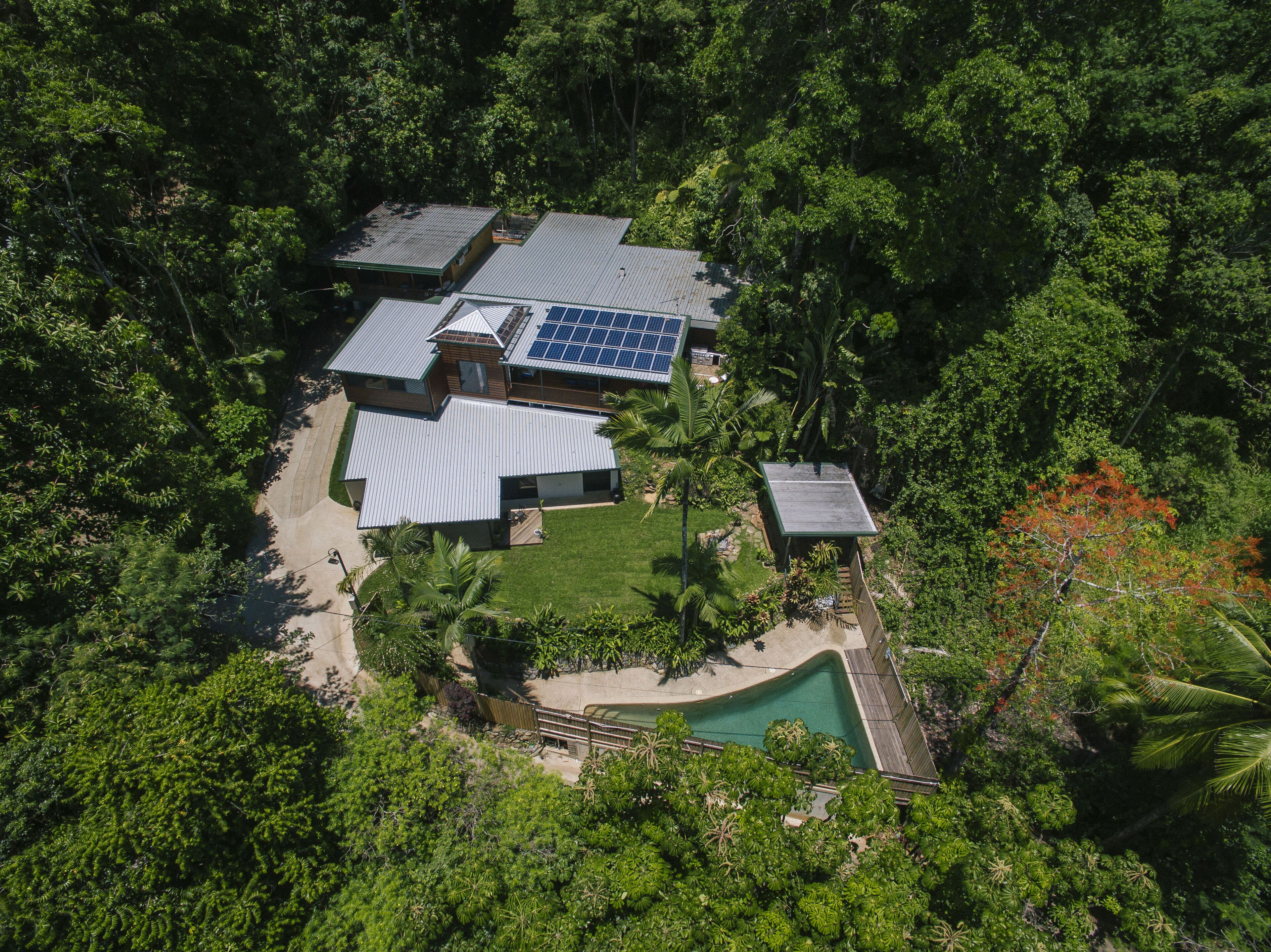 Golden Sunbird BnB - 2 Bedroom Apartment in Unique Rainforest Setting