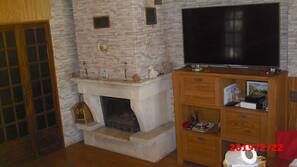 TV, fireplace, books