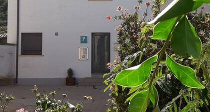 Pension Matarrana
