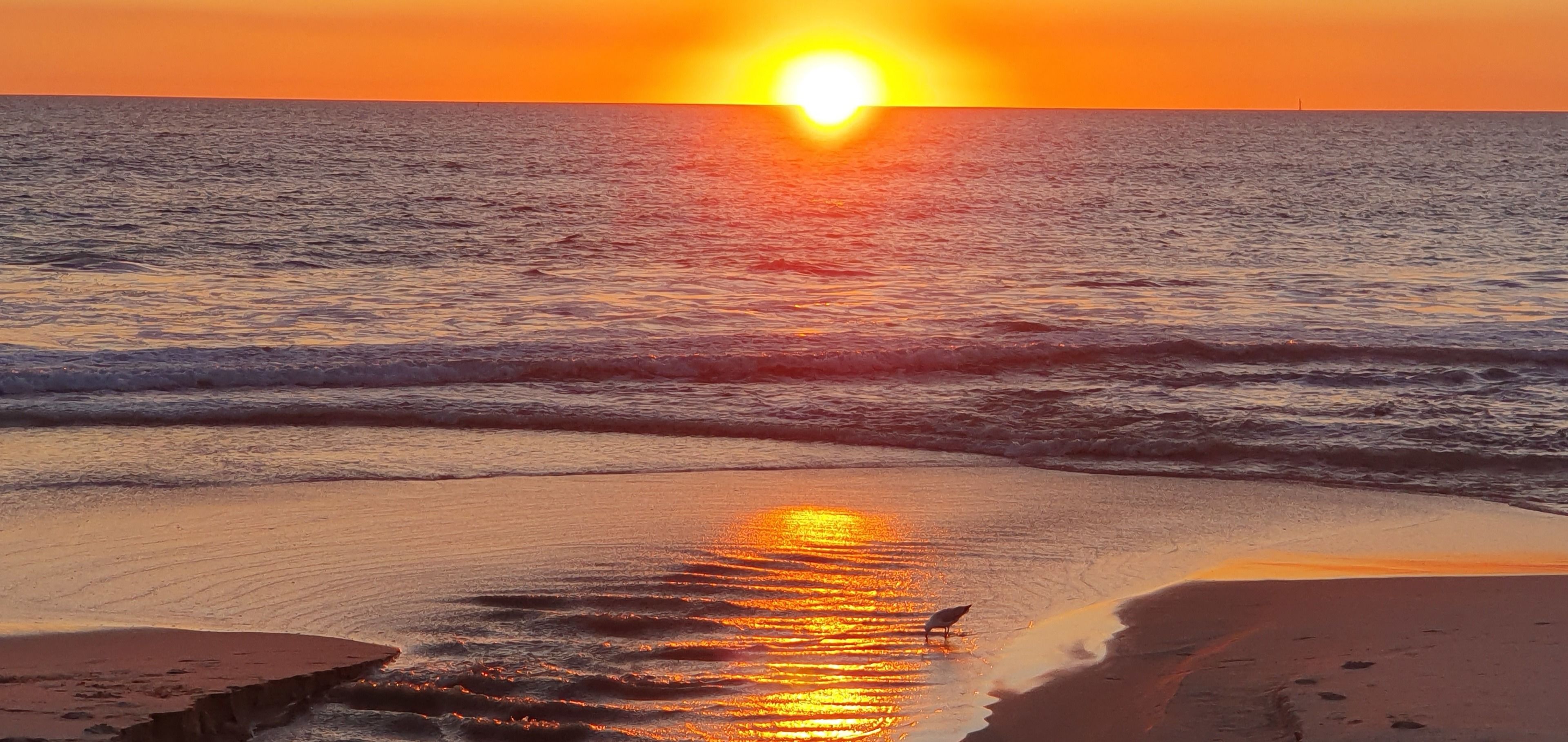 Sandcastles at the Beach - Outstanding Location