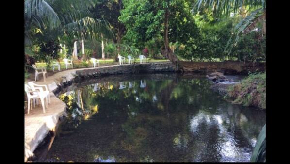 Piscine extérieure