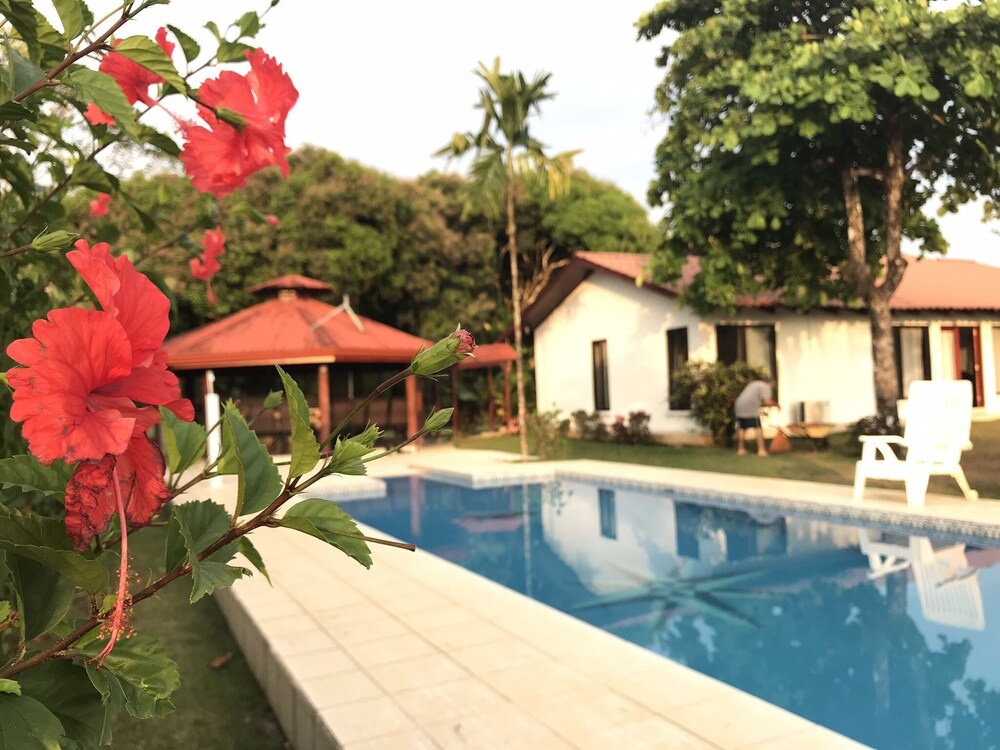 3 Bedrooms On 10 Acres Private Pool Great For Privacy Or