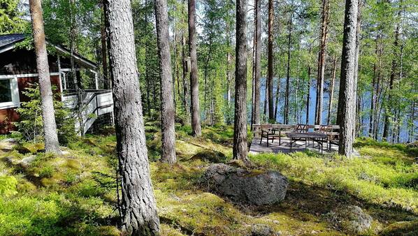 Pääkuva
