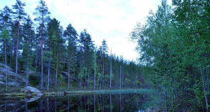 Salkolahti Tontti