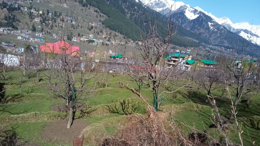 Comlux Hotel, Manali