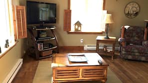 TV, fireplace, books