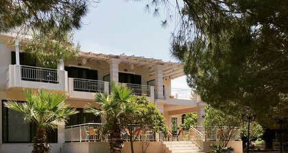Amalia Hotel