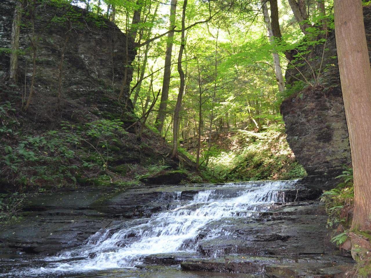 Tentrr - Hemlock Gorge Hideaway in Ithaca, United States