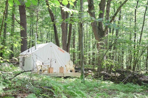 Lakewood Vacation Apartments 74 Short Term Apartment Rentals