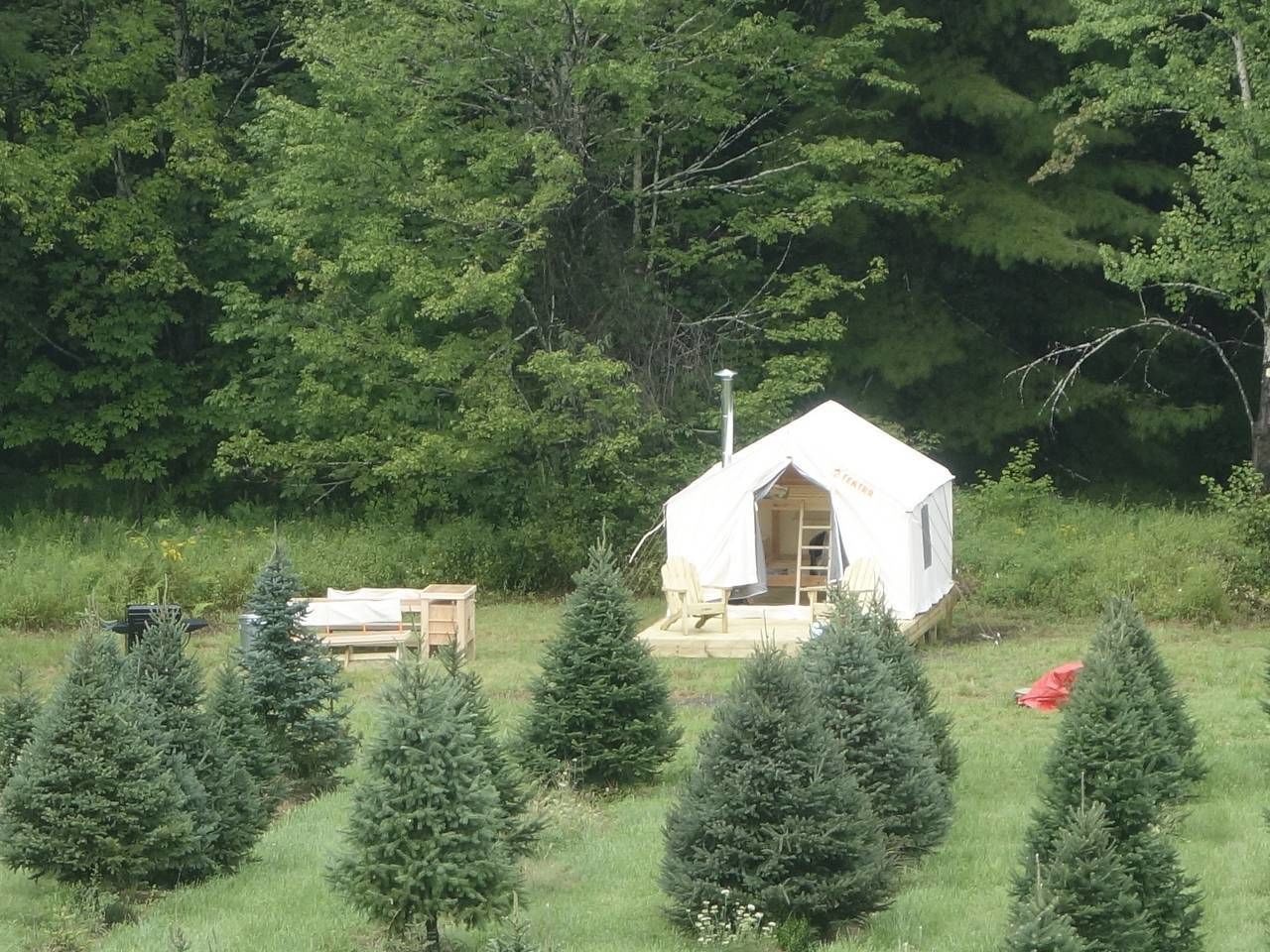 Tentrr High Meadow Tree Farm Harpursville Hotelbewertungen