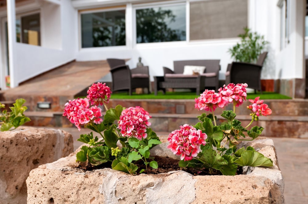 Photo - Parralito by VillaGranCanaria