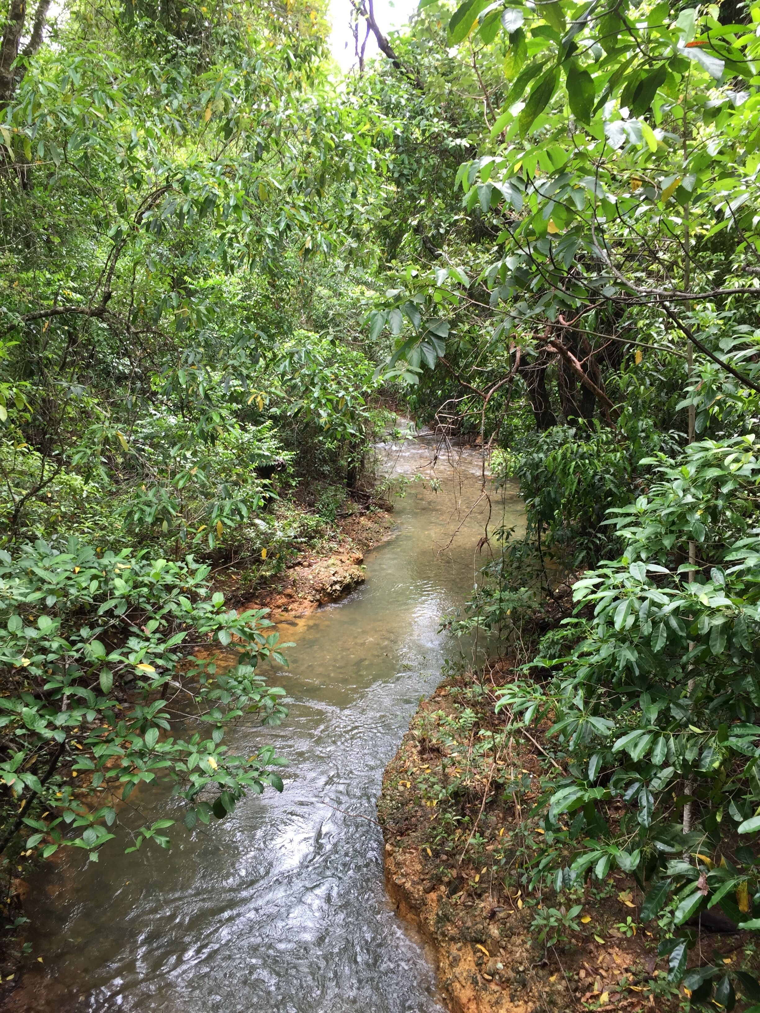 A World Class Holiday Resort that You Can’t Enjoy in Any Other's of The Earth