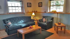 Fireplace, DVD player, books