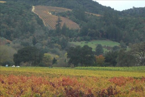 Visit Hendy Woods State Park In Ukiah Expedia