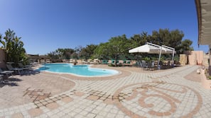 Outdoor pool, sun loungers